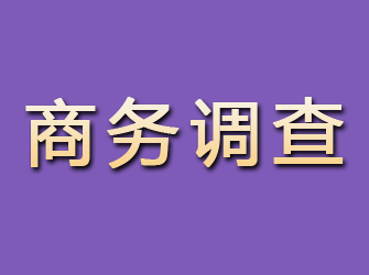 梁平商务调查